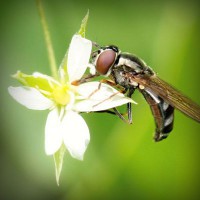 /album/se%c3%a7in-mobilya/photolia-a02-jpg/