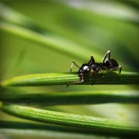 /album/se%c3%a7in-mobilya/photolia-a05-jpg/