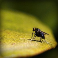 /album/se%c3%a7in-mobilya/photolia-a07-jpg/