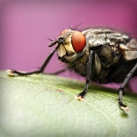 /album/se%c3%a7in-mobilya/photolia-a08-jpg/